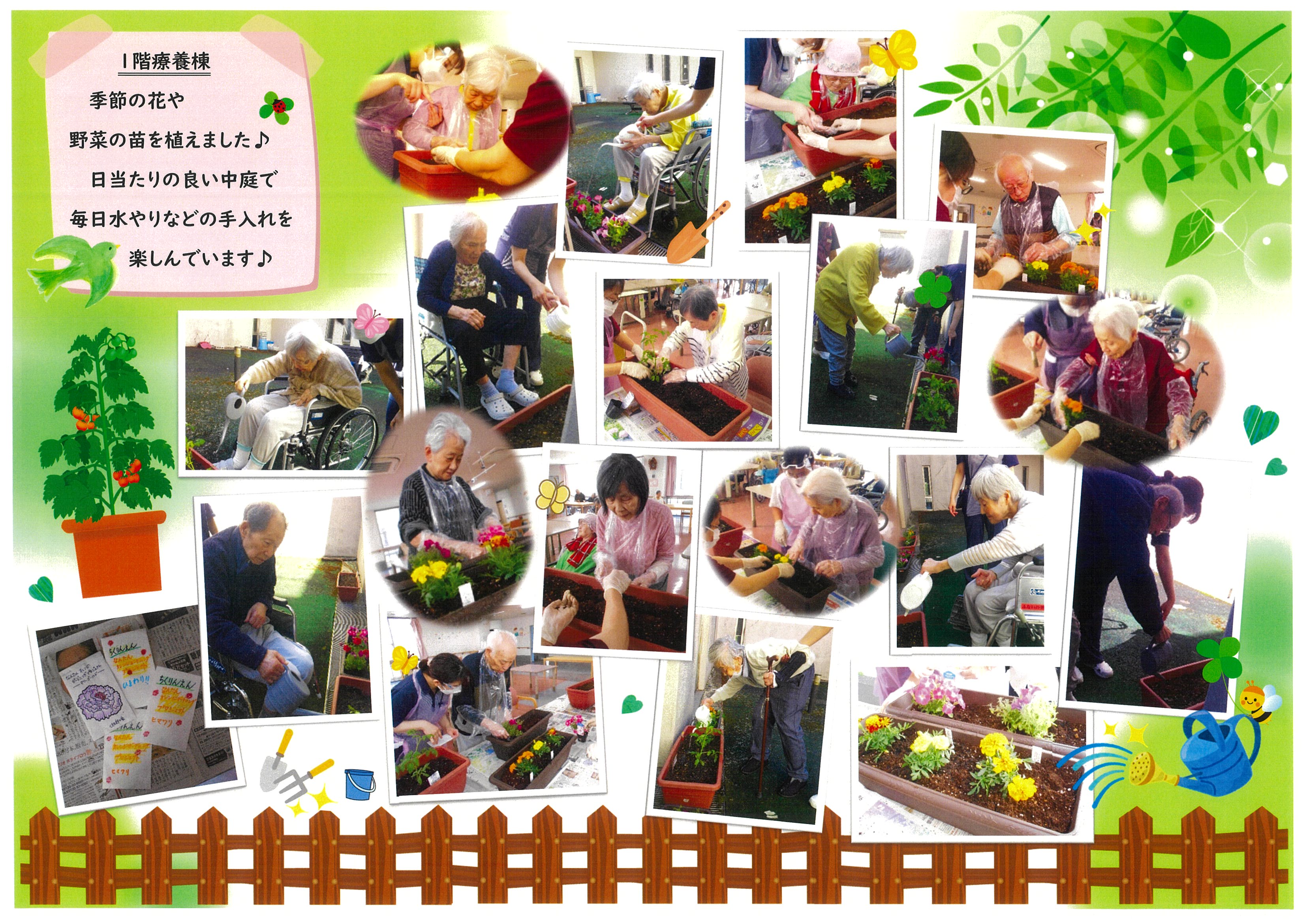 1F苗植え